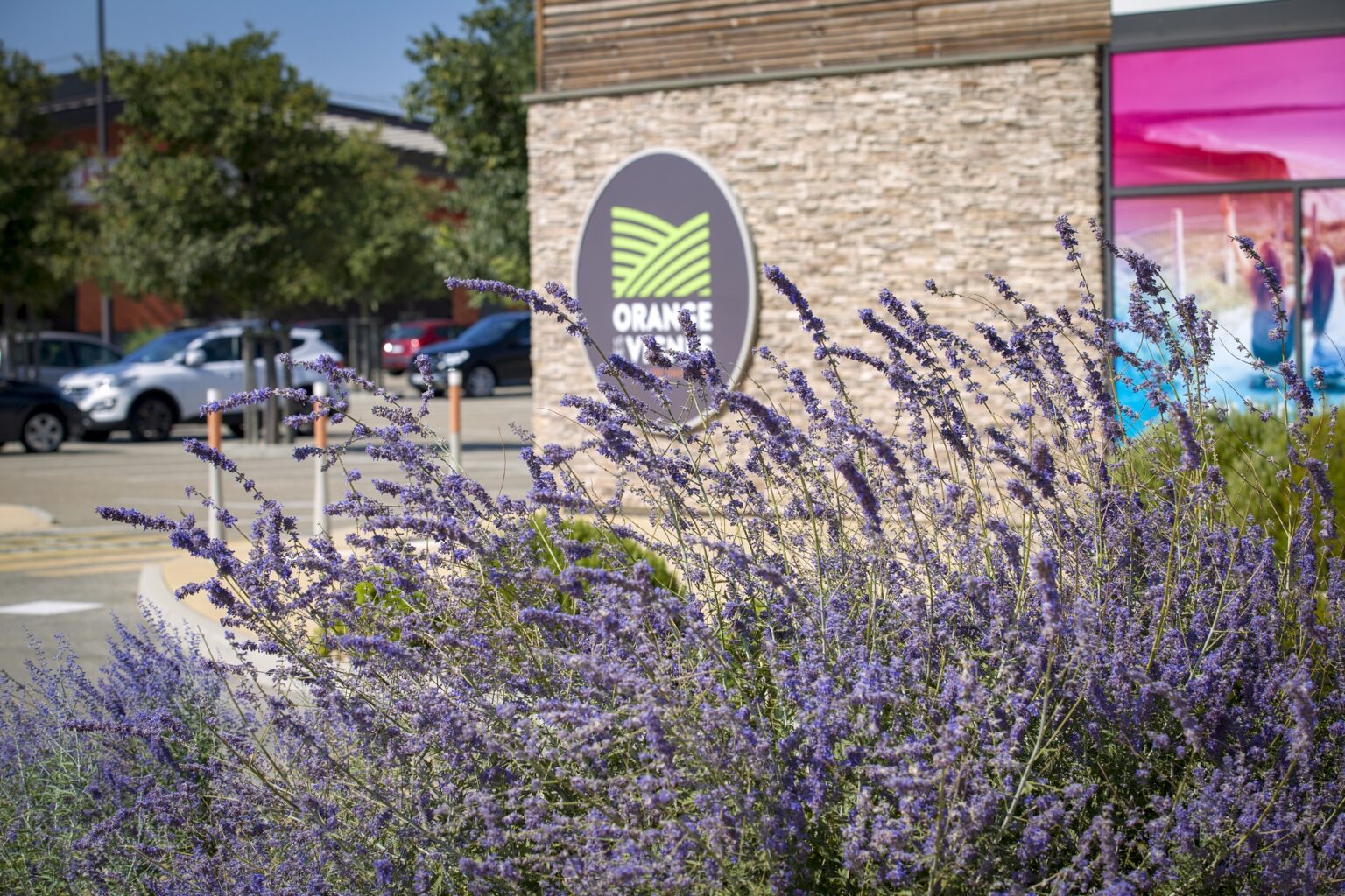 Retail Park d’Orange les Vignes