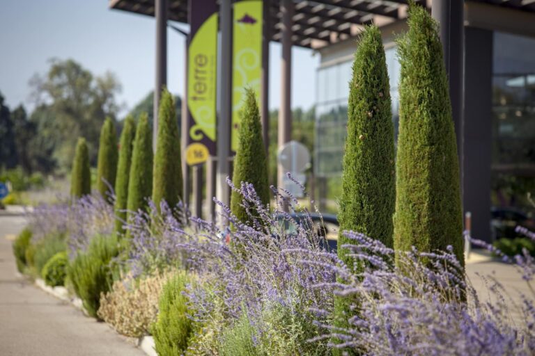 Retail Park d’Orange les Vignes