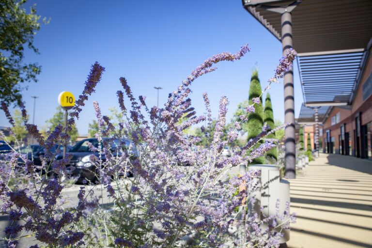 Retail Park d’Orange les Vignes